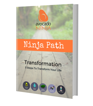 Ninja Path Transformation System