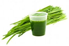 Avocado Ninja Vegus Fresh Wheatgrass Juice (7 day supply)