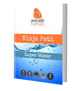 Ninja Path Superwater Guide