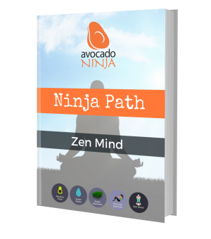 Ninja Path Zen Mind Guide